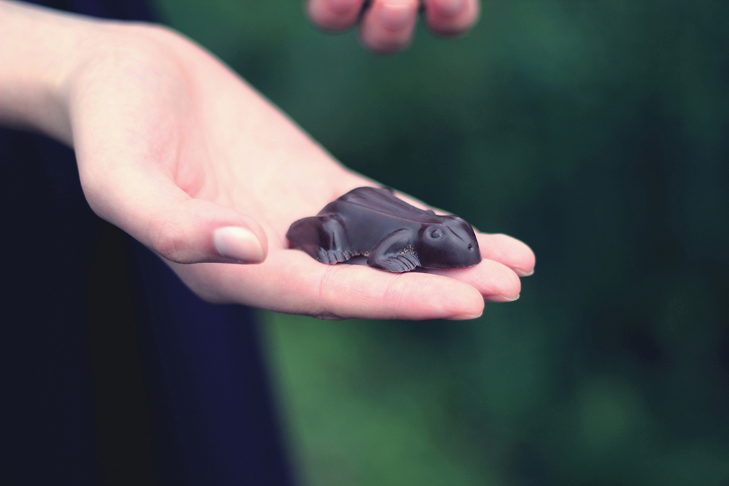 Chocogrenouille - Moule chocolat - Chocolate frog Harry Potter - Juliette Blog féminin