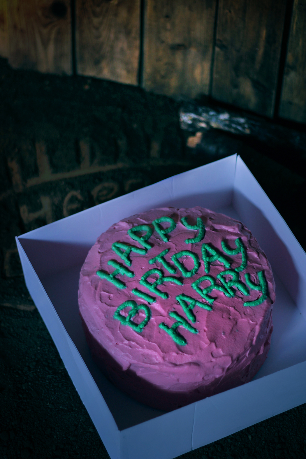 Gateau d'anniversaire Harry Potter - Juliette blog féminin